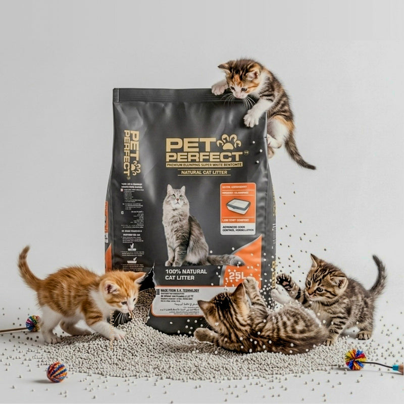 Pet Perfect 20 kg / 25 L unscented bentonite cat litter bag surrounded by cats
