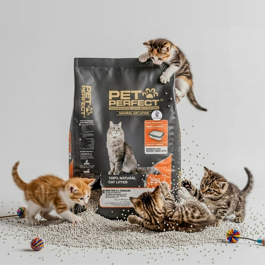 Pet Perfect lavender bentonite cat litter bag surrounded by cats