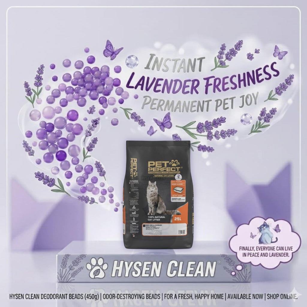 Lavender-scented bentonite cat litter infographic highlighting lasting freshness
